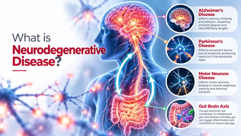 Neurodegenerative-Disease-and-the-Gut-Brain-Axis